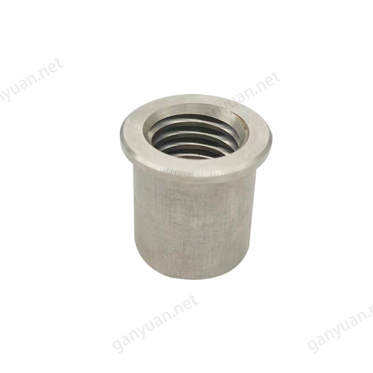 Rivet nuts