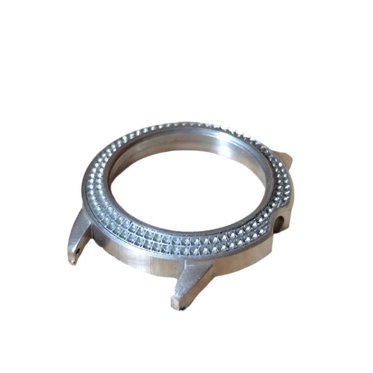 Watch Case